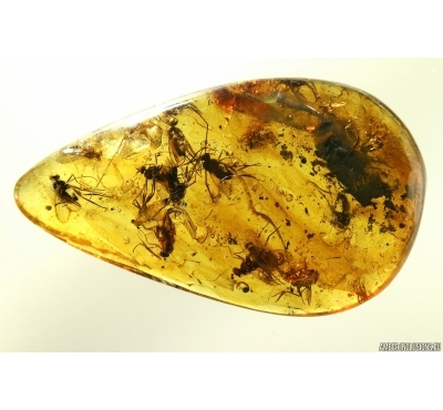 Many Flies in Baltic Amber stone #4272