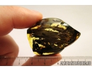 Nice, big 40mm! wood fragment. Fossil inclusion in Baltic amber #8658