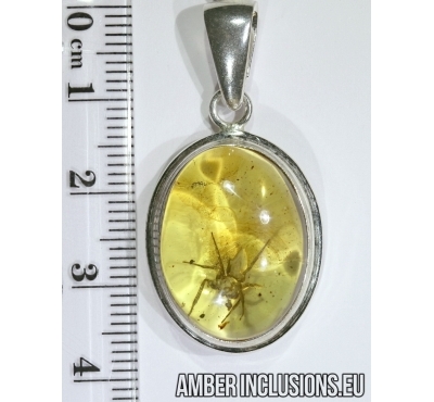 Genuine Baltic amber silver pendant with fossil inclusion - spider.