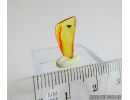 Extremely Rare FLEA, SIPHONAPTERA. Seventh specimen in Baltic amber #9574
