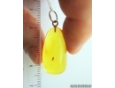 Genuine Baltic amber golden 14k pendant with fossil insect- Nice True Midge Chironomidae #g070_005
