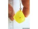 Genuine Baltic amber golden 14k pendant with fossil insect- Long-legged fly Dolichopodidae #g070_006