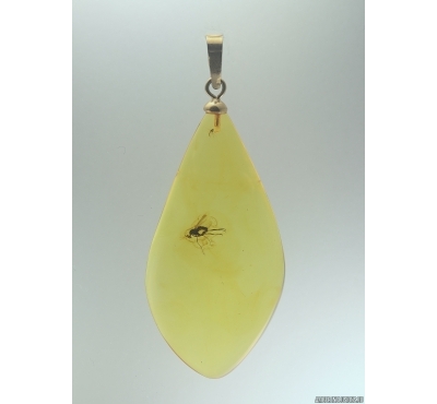 Genuine Baltic amber golden 14k pendant with fossil insect Long-legged fly Dolichopodidae #g150_005