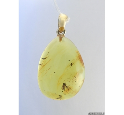 Genuine Baltic amber golden 14k pendant with fossil insect- Gnat #g180_007