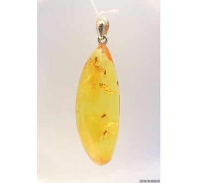 Genuine Baltic amber golden 14k pendant with fossil insects- Many Gnats #g180_001