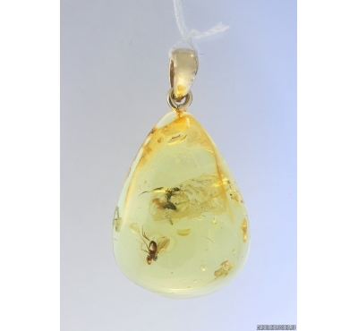 Genuine Baltic amber golden 14k pendant with fossil insect- Fly #g180_011