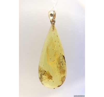 Genuine Baltic amber golden 14k pendant with fossil insect- Fly #g180_002