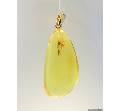 Genuine Baltic amber golden 14k pendant with fossil insect- Fly #g180_003
