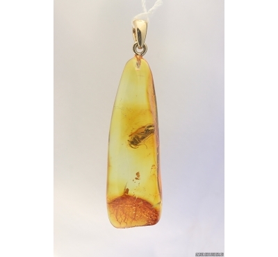Genuine Baltic amber golden 14k pendant with fossil inclusions - Fungus gnat and Spider #g180_004