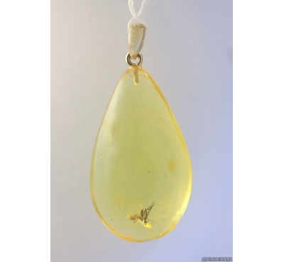 Genuine Baltic amber golden 14k pendant with fossil insect- Fly #g180_005