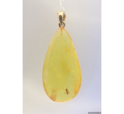 Genuine Baltic amber golden 14k pendant with fossil insect- Gnat #g180_006