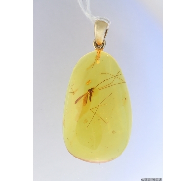 Genuine Baltic amber golden 14k pendant with fossil insect- Fly #g180_008