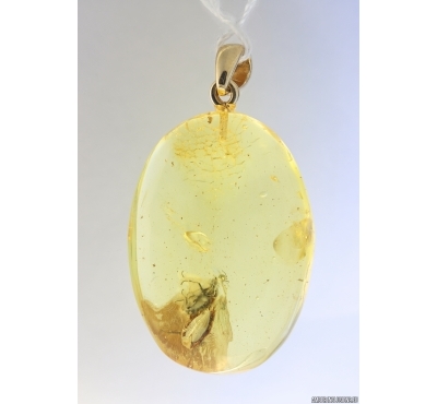 Genuine Baltic amber golden 14k pendant with fossil insect- Fly #g180_014
