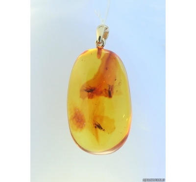 Genuine Baltic amber golden 14k pendant with fossil insects- Flies #g180_015