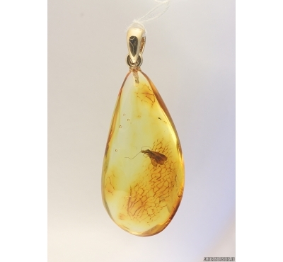 Genuine Baltic amber golden 14k pendant with fossil inclusion - Caddisfly #g180_016