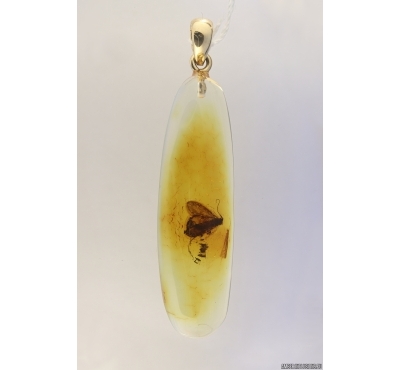 Genuine Baltic amber golden 14k pendant with fossil inclusion - Caddisfly #g180_017