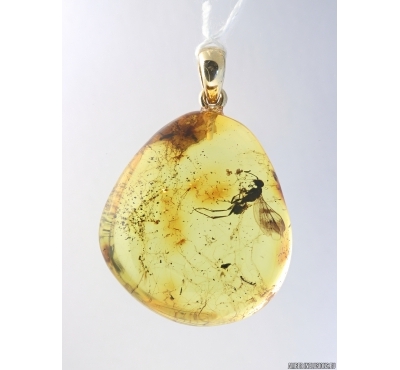 Genuine Baltic amber golden 14k pendant with fossil inclusion - Wasp #g180_018