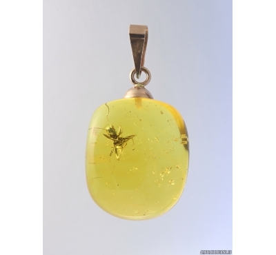 Genuine Baltic amber golden 14k pendant with fossil inclusion - Ant #g180_019