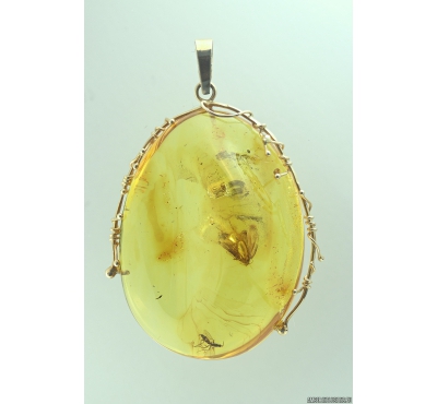 Genuine Baltic amber golden 14k pendant with fossil insects- Lepidoptera, Moth and Hymenoptera, Ant #g220-001