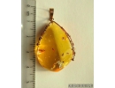 Genuine Baltic amber golden 14k pendant with fossil insects- Dipterans #g220-002