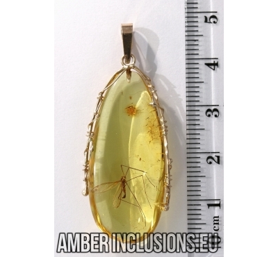 Genuine Baltic amber gold pendant with fossil insect-  Large Gnat.