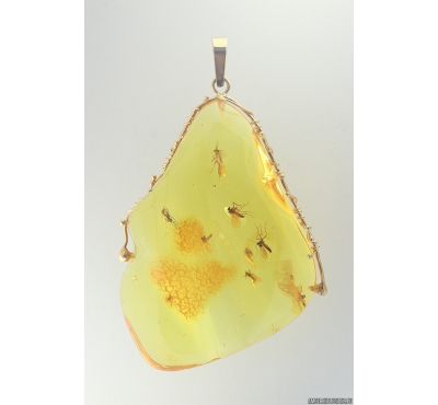 Genuine Baltic amber golden 14k pendant with fossil insects- Dipterans #g220-003