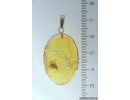 Genuine Baltic amber golden 14k pendant with fossil insect Long-legged fly Dolichopodidae #g220_010