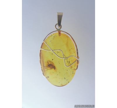 Genuine Baltic amber golden 14k pendant with fossil insect Long-legged fly Dolichopodidae #g220_010