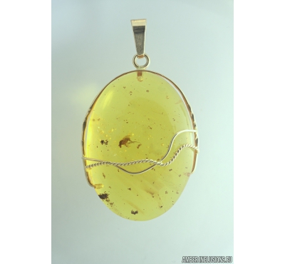 Genuine Baltic amber golden 14k pendant with fossil insect Long-legged fly Dolichopodidae #g220_011