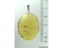 Genuine Baltic amber golden 14k pendant with fossil insect Long-legged fly Dolichopodidae #g220_011