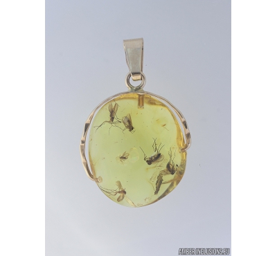 Genuine Baltic amber golden 14k pendant with fossil insects Many gnats #g220_013