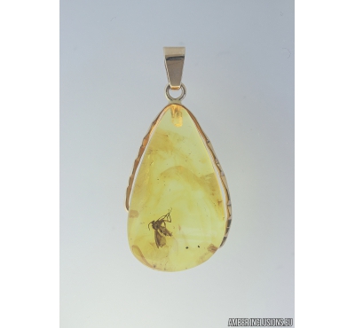 Genuine Baltic amber golden 14k pendant with fossil insect Fungus gnat Mycetophilidae #g220_014