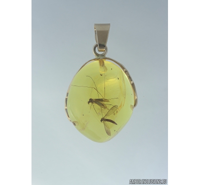 enuine Baltic amber golden 14k pendant with fossil insects Two Crane flies Limoniidae #g220_015