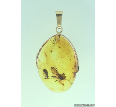 Genuine Baltic amber golden 14k pendant with fossil insects Snipe Fly Rhagionidae and Beetle Coleoptera #g220_016