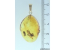 Genuine Baltic amber golden 14k pendant with fossil insects Snipe Fly Rhagionidae and Beetle Coleoptera #g220_016