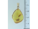 Genuine Baltic amber golden 14k pendant with fossil insects Two Caddisflies Trichoptera #g220_017