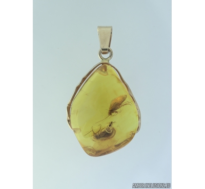 Genuine Baltic amber golden 14k pendant with fossil insects Two Caddisflies Trichoptera #g220_017