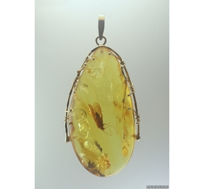 Genuine Baltic amber golden 14k pendant with fossil insect- Caddisfly Thichoptera #g220_022