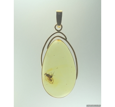 Genuine Baltic amber golden 14k pendant with fossil insect Long-legged fly Dolichopodidae #g220_031