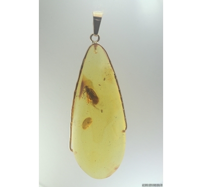 Genuine Baltic amber golden 14k pendant with fossil insect- Nice Caddisfly Thichoptera #g220_036