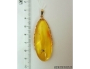 Genuine Baltic amber golden 14k pendant with fossil insect - Gnat #g220_037