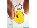 Genuine Baltic amber golden 14k pendant with fossil inclusion - Spider #g250_001
