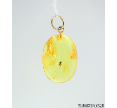 Genuine Baltic amber golden 14k pendant with fossil insect- Long-legged fly Dolichopodidae #g070-002