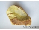 Genuine WHITE COLOR BALTIC AMBER Stone.  74 grams. #st-029