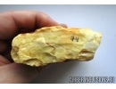 Genuine WHITE COLOR BALTIC AMBER Stone.  74 grams. #st-029