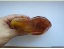 Genuine BALTIC AMBER Stone. 241 grams. #st-032