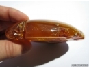 Genuine BALTIC AMBER Stone. 114 grams #st-035