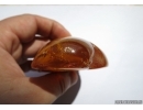 Genuine BALTIC AMBER Stone. 114 grams #st-035