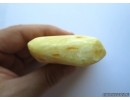 Genuine WHITE COLOR BALTIC AMBER Stone. 97 grams #st-038