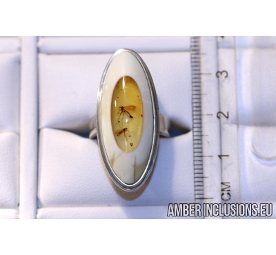 Genuine Baltic amber silver ring with fossil inclusions -  Two Gnats
